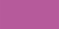 Крокус фиолетовый U404 ST9